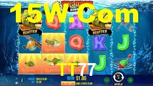 Premium Interface TT77